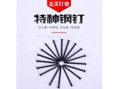 特種鋼釘 宏盛特種水泥鋼釘 水泥鋼釘涂料釘 黑色鋼釘