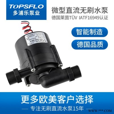 工廠直銷12v24v即熱式熱水器水泵 清水泵離心泵 管道離心泵 熱水器水泵 TOPSFLO品牌