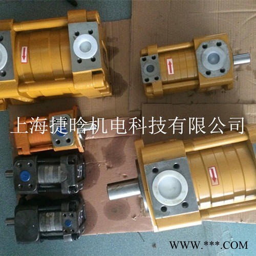 NT PUMP全系列內(nèi)嚙合齒輪泵 NT2-D10F 硫化機(jī)油泵 彎管機(jī)用泵