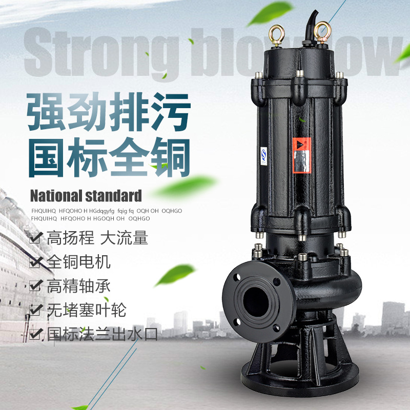 廠家220V污水泵 無堵塞高揚(yáng)程工業(yè)農(nóng)用排污泵 380v大流量潛水泵