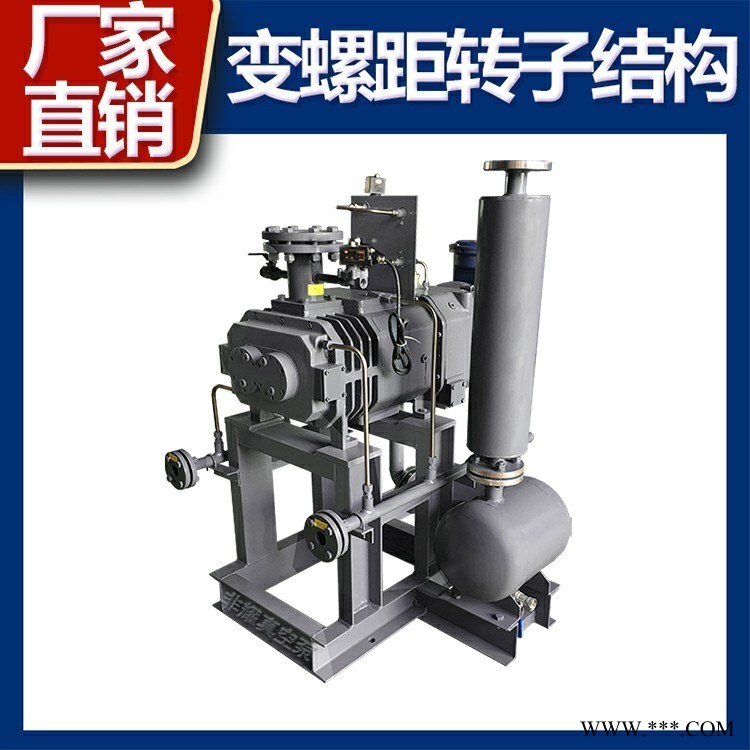 非耀 蒸汽回收用干式真空泵 變頻雙螺桿真空泵 LGB120 型號齊全材質(zhì)可選 廠家直銷 南京